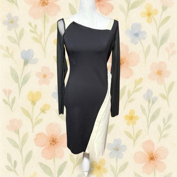 Eva Franco Dresses & Skirts - Eva Franco Simone Dress Black Cream Colorblock Mesh Sleeve Bodycon 6